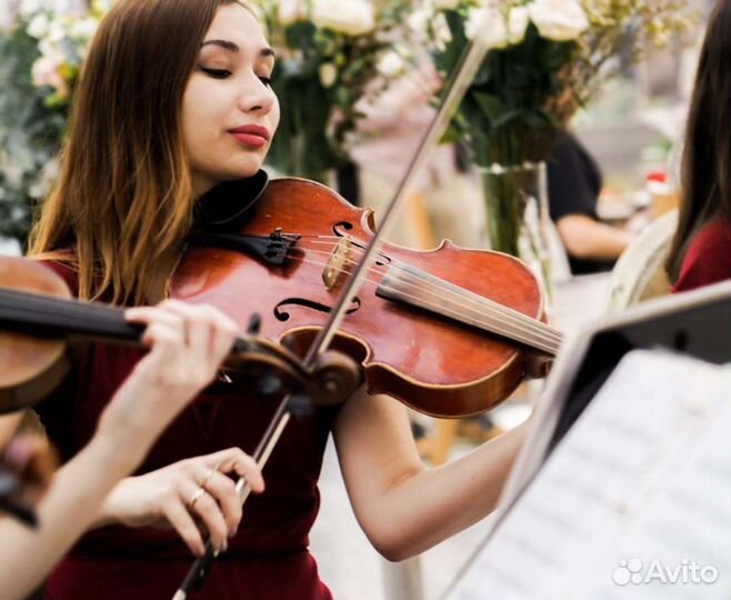 Репетитор/педагог по музыке(скрипка, альт)