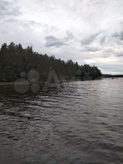 Участок 8,1 сот. (СНТ, ДНП)