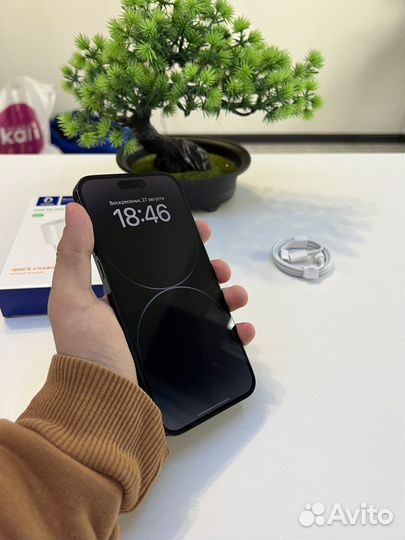 iPhone 14 Pro Max 256