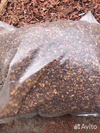 Мульча, скорлупа кедрового ореха