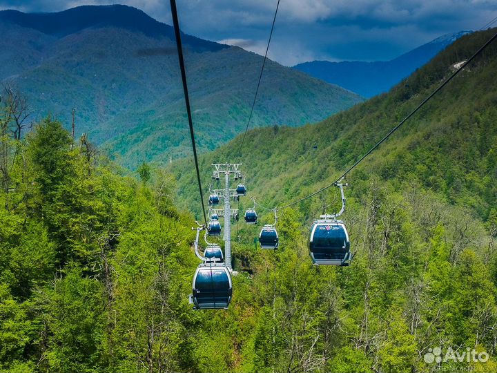 Тур на Красную поляну в группе
