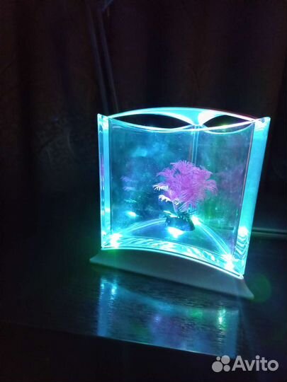 Аквариум для рыбок
