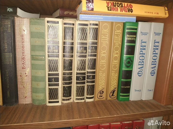 Библиотека домашняя