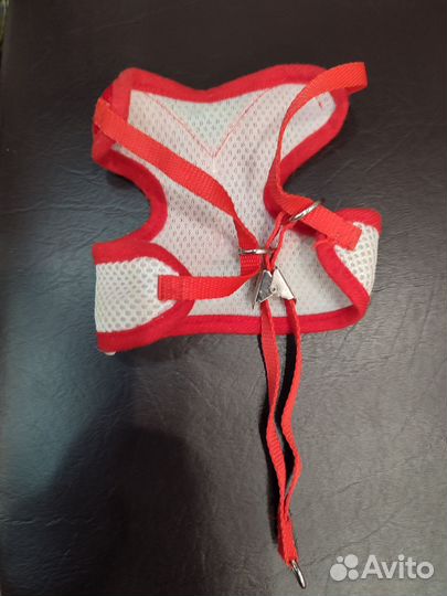 Шлейка для маленькой собаки