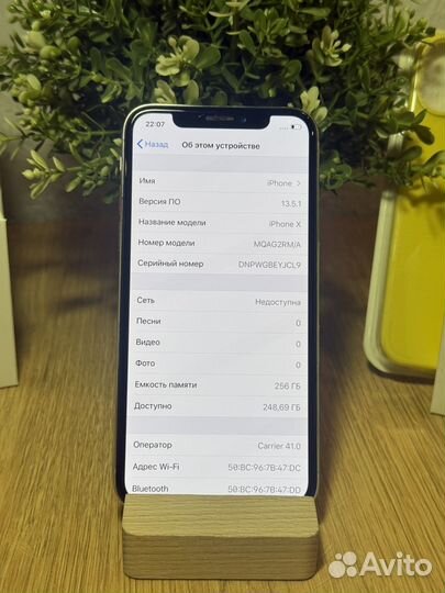 iPhone X, 256 ГБ