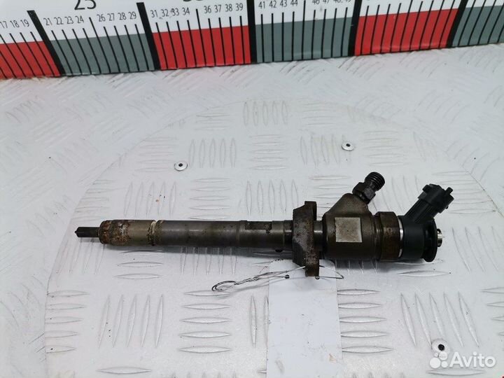 Форсунка для Peugeot-Citroen 308