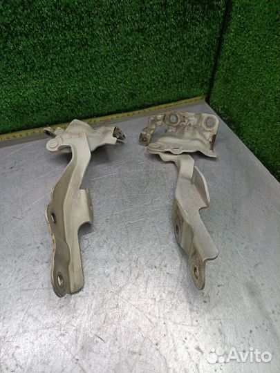 Петля капота Kia Carnival II (2006—2014) VQ J-3