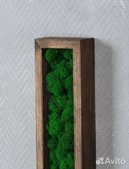 Панно со мхом/ декорация настенная