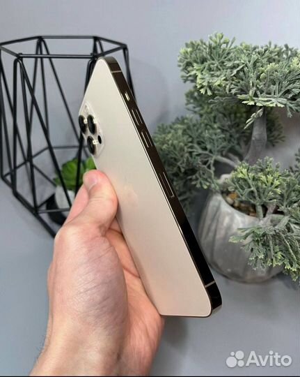 iPhone 12 Pro, 128 ГБ