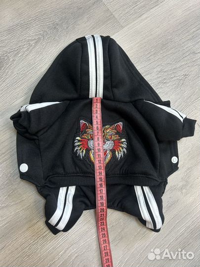 Одежда для собак мелких пород