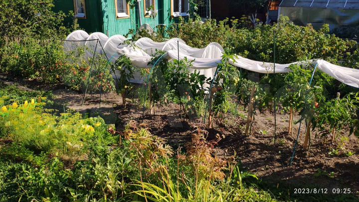 Дача 34 м² на участке 3,3 сот.