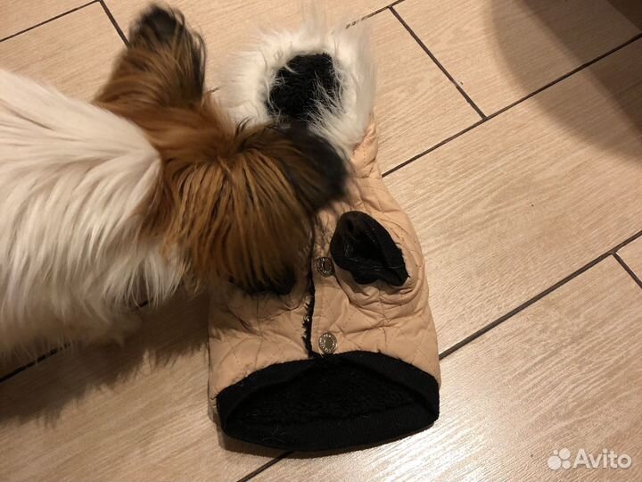 Продам курточку для собаки мелких пород