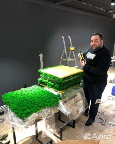 Стабилизированный мох ягель,кочка,пласт