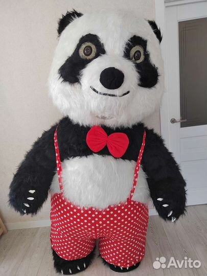 Аниматор. Поздравление от Чебурашки, зайки, панды