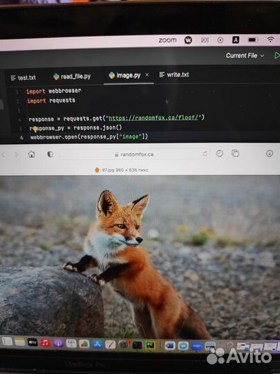 Репетитор python
