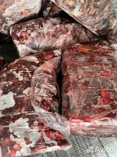 Шрот из мяса и субпродуктов