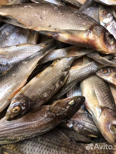 Рыба вяленая к пиву свежая плотва таранька