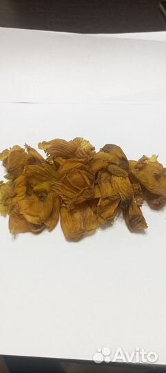 Пленки куриных желудков