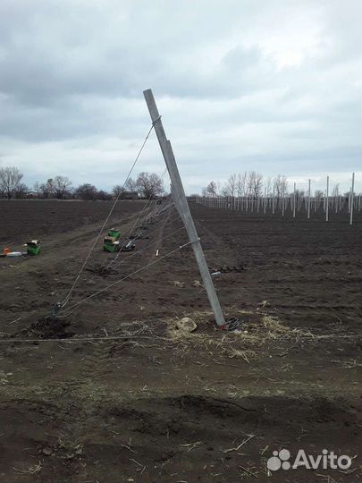 Сады под ключ