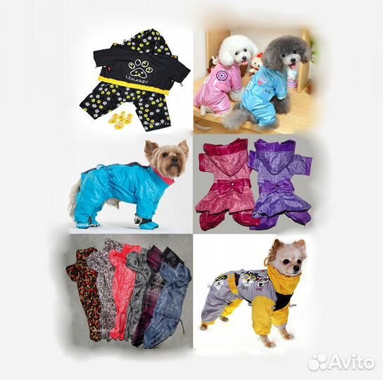 Одежда дождевики для собак