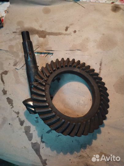 Главная пара москвич