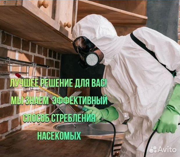 Уничтожить тараканов клопов мышей дезинфекция