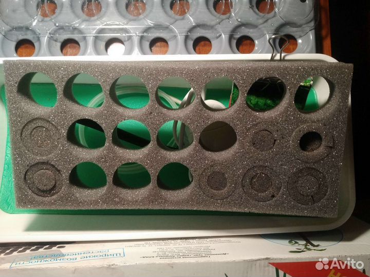 Домашняя чудо-грядка