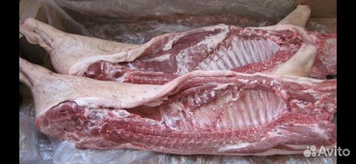 Мясо Лося Кабана Косули