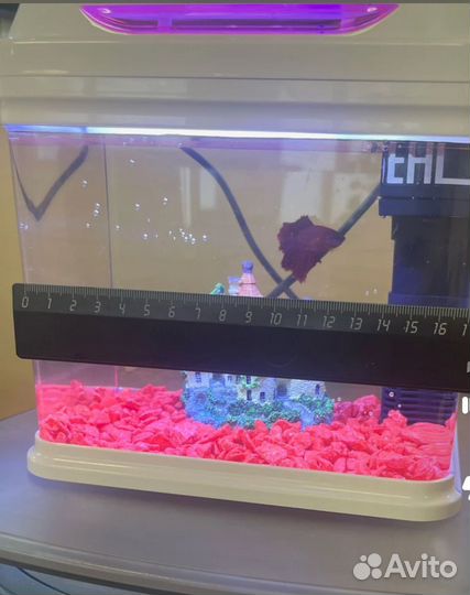 Аквариум 3 л