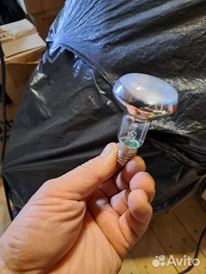 Лампочки накаливания Е14 и LED Е14 220в