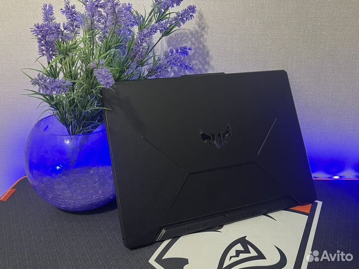 Игровой Ноутбук Asus Tuf Gaming F15 1650/I5 10300H