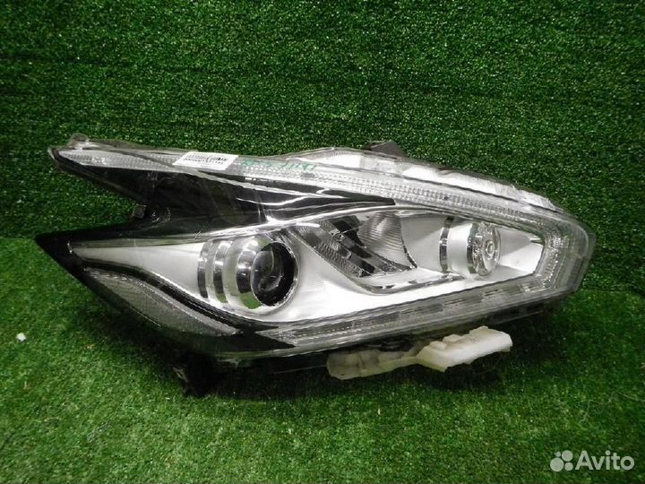Фара правая Nissan Murano