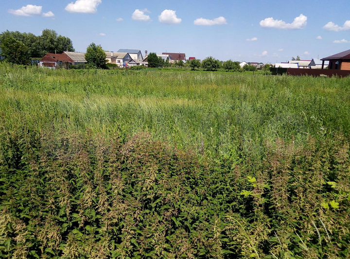 Участок 5 сот. (ИЖС)