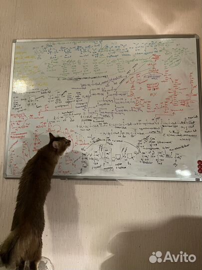 Репетитор по химии и биологии