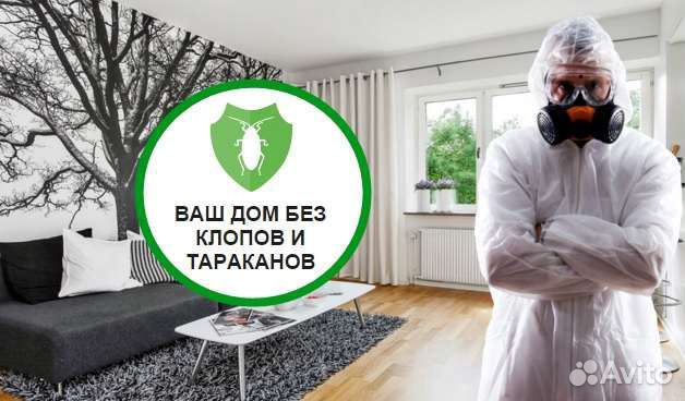 Уничтожение тараканов и клопов