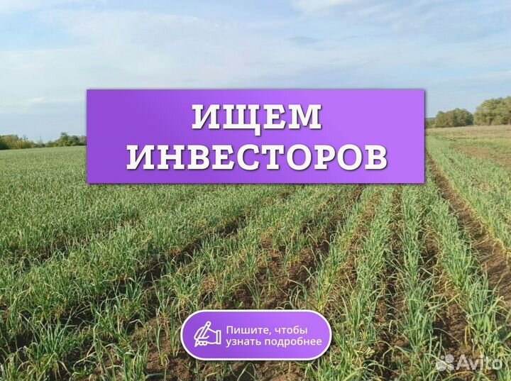 Готовый бизнес инвестиции