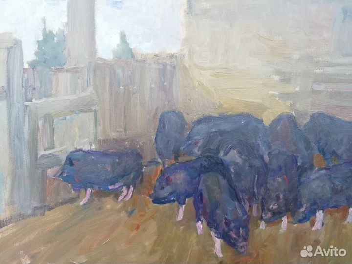 Вьетнамские поросята 3 мес