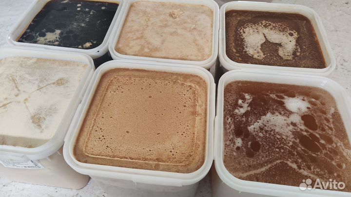 Алтайский мед (опт)