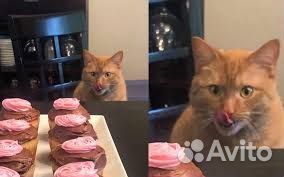 Сытная вахта упаковщица колбасы/везем сами