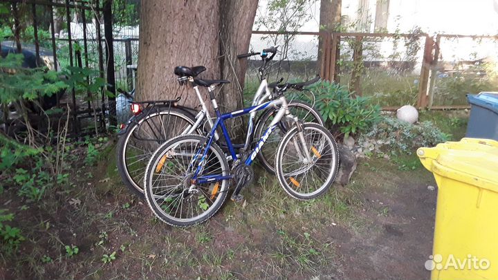 Велосипед на прокат