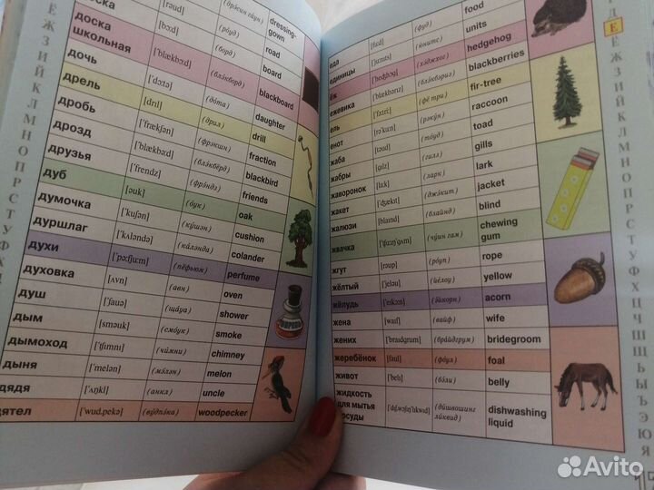 Словарь английского языка с картинками