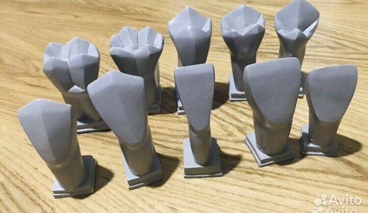 Учебные модели зубов