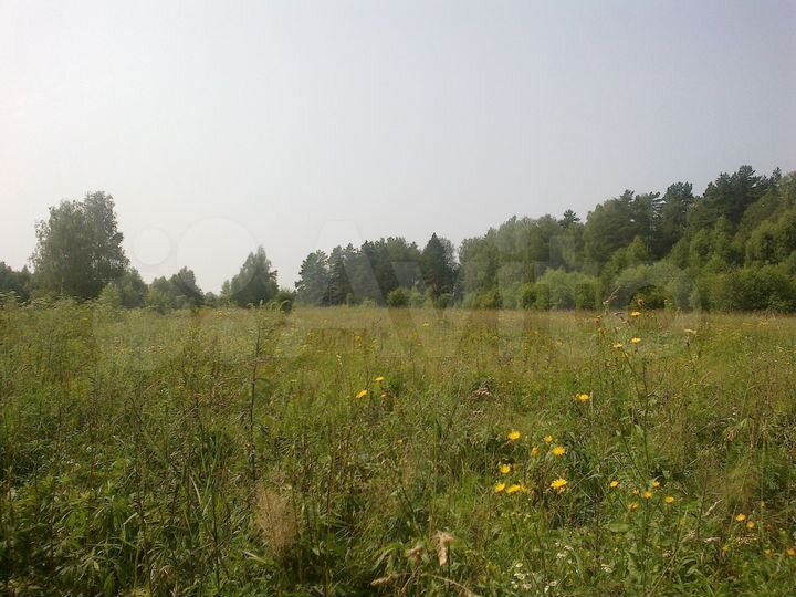 Участок 2 га (ИЖС)