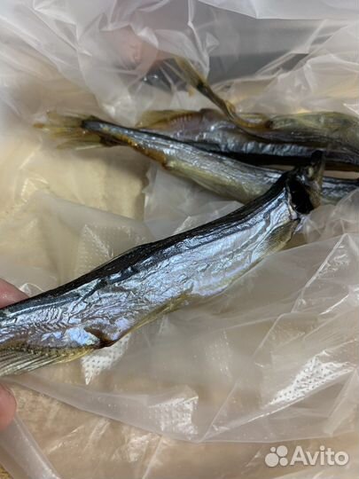 Камбала, мойва вяленая