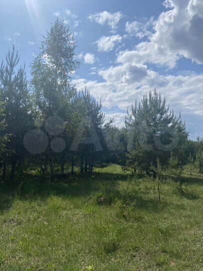 Участок 11 сот. (СНТ, ДНП)