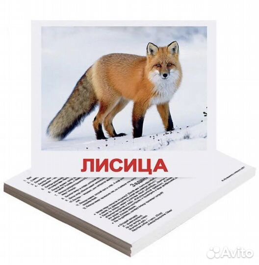 Обучающие карточки Домана Вундеркинд с пеленок