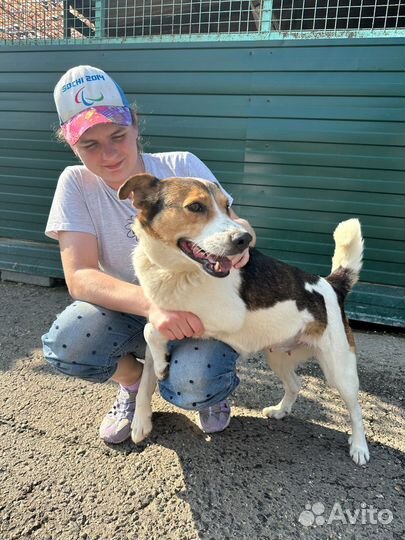 Веста очень ждет своего человека