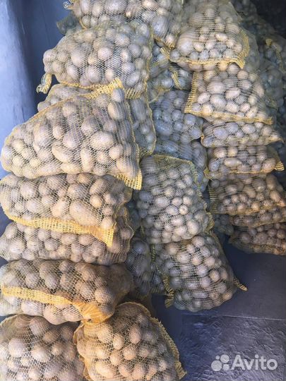 Продам картофель