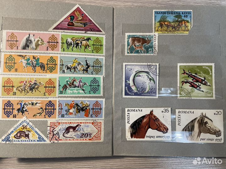 Альбом с марками N3