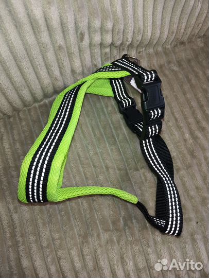 Шлейка для собаки